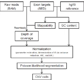 Figure 1.1: A flowchart outlining the procedures of CODEX in normalizing WES read depth and calling CNV