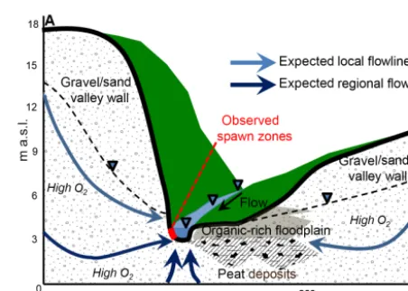 Figure 8. Minipoint pore-water chemistry data showing high spatial resolution proﬁles of (a) speciﬁc conductance and (b) dissolved oxygen,collected in June 2016 at the major seepage alcoves