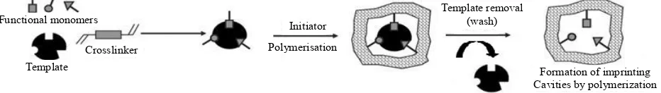 Figure 1. Schematic representation of a molecular imprinting process. Complexes, formed in solution by interactions between the template molecule (here black figure) and one or more functional monomer(s), become fixed during polymerization with a cross-lin
