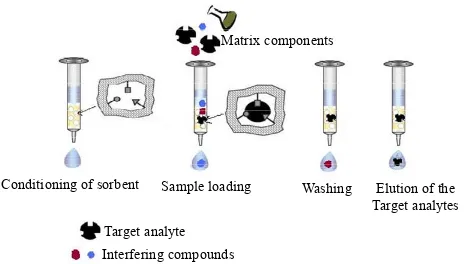 Figure 5. Schematic representation of the four steps of the MISPE process. 