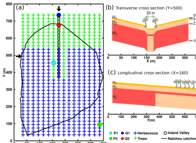 Figure 1. (a) Catchment mesh. Blue and green crosses indicate the vegetation distribution for the reference case
