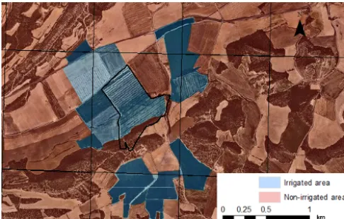 Figure 2. The DISPATCH grid representing the Foradada ﬁeld, out-lined in dark blue, irrigated ﬁelds in light blue, and dry land in lightred.