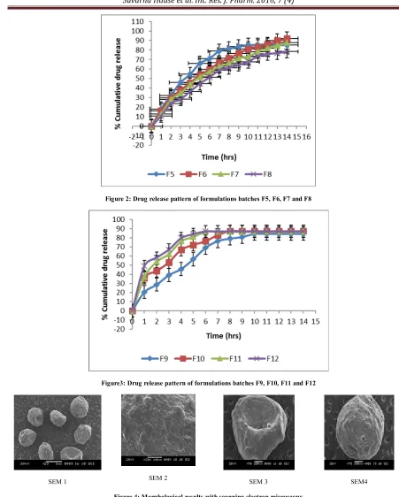 Figure 4: Morphological results with scanning electron microscopy 