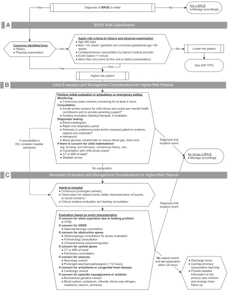 FIGURE 1Evaluation and management pathway for higher-risk BRUE. a If a social worker is not available, this may be performed by other health care workers withsimilar experience and skills