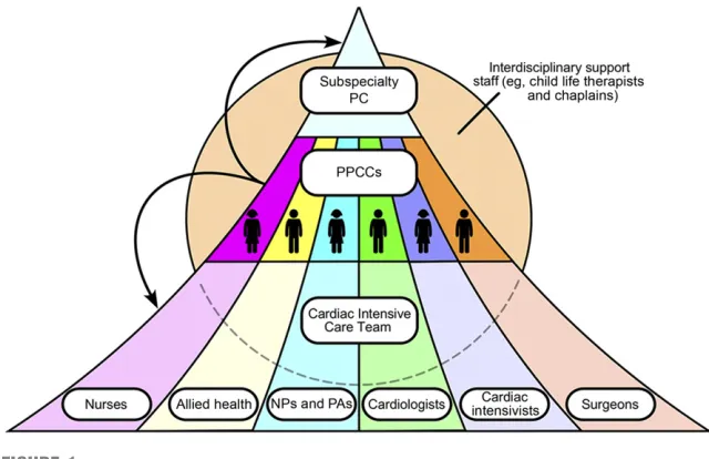 FIGURE 1Proposed PPCC model for integration of PPC into the CICU. PPCCs are identiﬁed by the CICUinterdisciplinary team