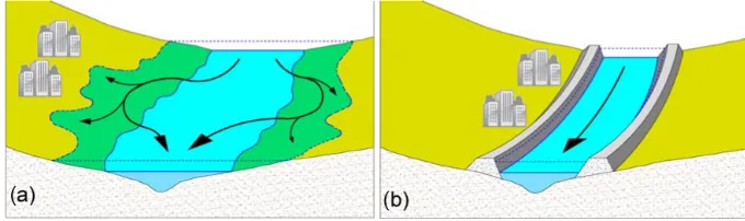 Figure 1. Schematic of human adjustments to ﬂooding – (a) adaptation: settling away from the river, and (a) ﬁghting: raising levees or dikes(after Di Baldassarre et al., 2013b).