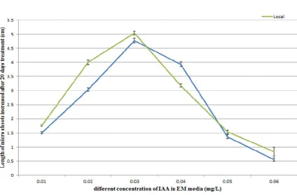 Fig. 4. Effect of different concentration of IAA on elongation of microshoots of two different genotypes (Nirmal B1 and Local)