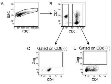 Figure 2-2.  Gating strategy to separate the CD8 T cells from the CD4 T cells.  After setting up our coculture assay, described in the Fig 2-1 legend, HIV replication is measured by staining for intracellular p24 (Gag)