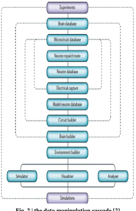 Fig. 2 | the data manipulation cascade [2] 