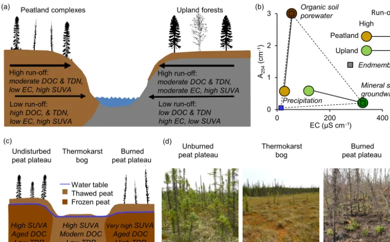 Figure 9. Conceptual controls on seasonal variation in stream chemistry for heterogeneous catchments with mixed peatland and upland forestland cover on the Taiga Plains of western Canada