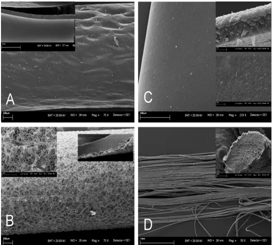 Figure 1. Scanning electron microscopy images external surface and the transverse cut of the polymer tubes made of A: Ter-polimer; B: Polylactide; C: Polyurethane; D: Alginate fibers, and the sciatic nerve crossection (small picture)
