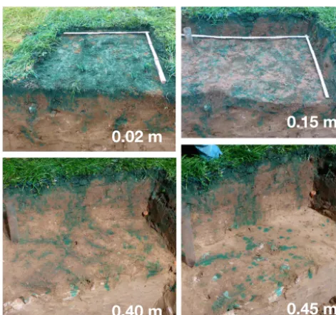 Figure 4. Weiherbach irrigation experiment as model reference.Brilliant Blue dye stains in excavation horizons.