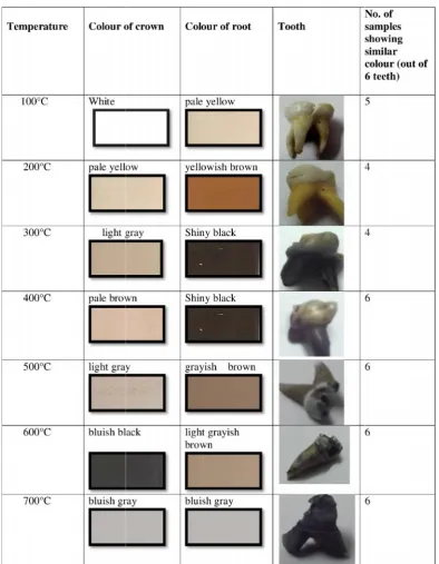 Table 1. Colour changes based on the Munsell soil colour chart, following colour changes were seenTable 1