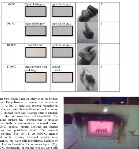 Fig. 1. Ceramic brickFig. 1. Ceramic brickFig. 1. Ceramic brick