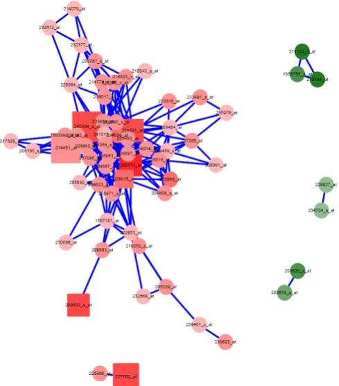 Figure 3. Gene-gene network predicted based on classifiers of breast cancer significant genes used for drug targets