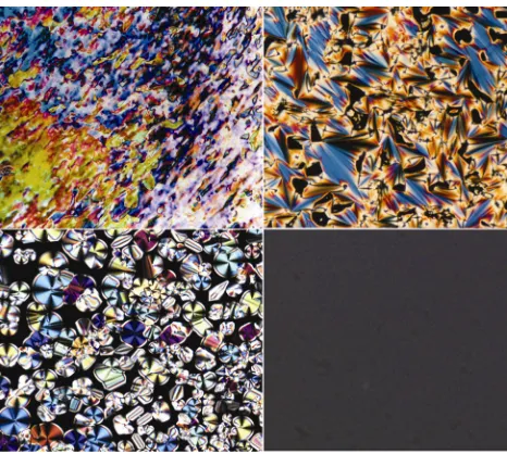 Figure 2.5 - Some characteristic textures of N (top left), S (top right), h (bottom left), and Cub ( bottom right ) phases