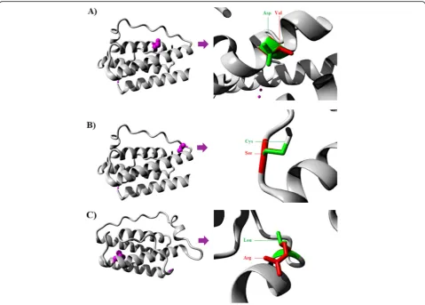 Fig. 6 The most deleterious amino acid substitutions predicted in leptin 3D structures