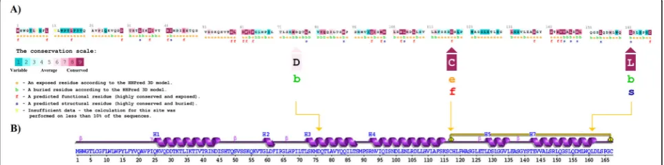 Fig. 1 Ten different computational tools utilized to predict the most deleterious effect of amino acid substitutions on leptin structure, function,and stability