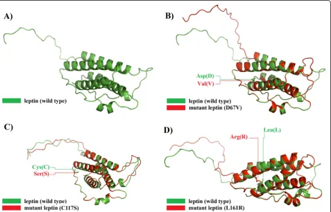 Table 4 TM-align predictions for the most three deleteriousnsSNPs in leptin