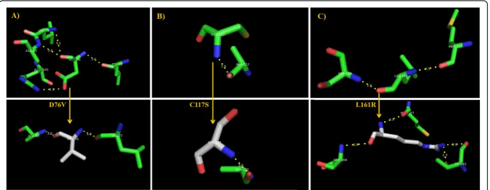 Fig. 5 Polar interactions of 3D structures of leptin before mutation and after its being mutated with D76V, C117S, and L161R, in a), b), and c),respectively