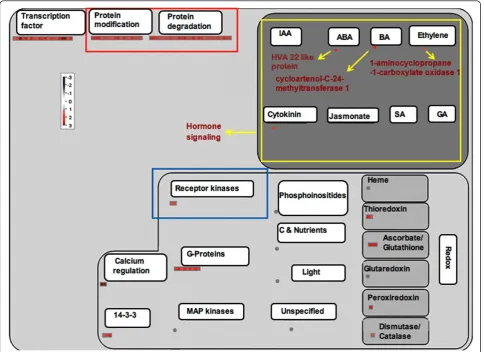 Figure 2 MapMan-based visualization of the differentially expressed ESTs involved in ‘regulation overview’ in the SSH cDNA library ofthe rice variety TN1 after infestation with GMB4