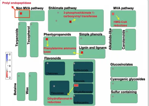 Figure 4 MapMan-based visualization of the differentially expressed ESTs involved in ‘secondary metabolism’ in the SSH cDNA libraryof the rice variety TN1 after infestation with GMB4
