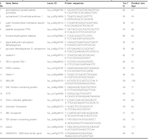 Table 1 Primer sequence information for 20 selected genes chosen for real-time PCR assay