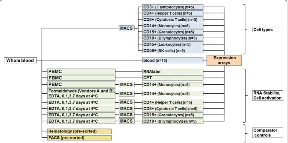 Figure 1 Experimental study design. The study design consisted of three major components: (1), in blue: gene expression analysis of a panelof eight different cell types positive selected by MACS directly from whole blood followed by GeneChip expression arr