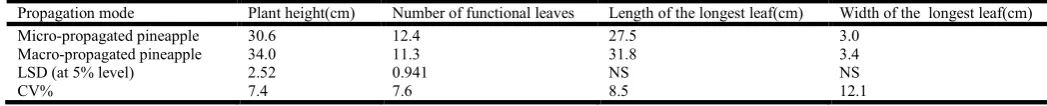 Table 3. Mean squares and their significance levels from the ANOVA for four vegetative parameters evaluated in micro- and macro- propagated plantlets at three planting density at Rubona station during 2011/2012 season   