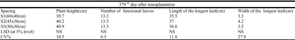 Table 8. Means of four vegetative parameters evaluated in micro- and macro-propagated pineapple at Rubona station at 318after transplantation during 2011/2012 season    th day  