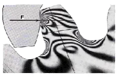 Fig 1.1 Photo-elastic Model of gear tooth [1] 