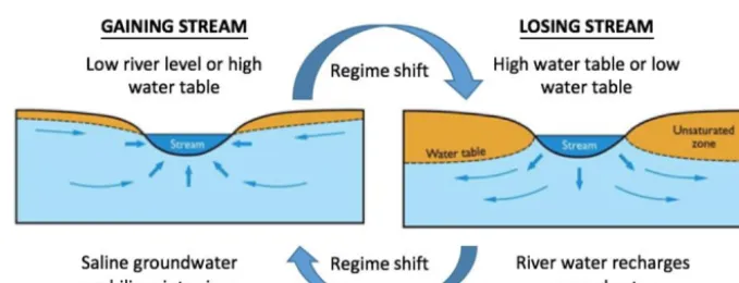 Figure 2. Processes affecting saline accessions during normal and ﬂood conditions.