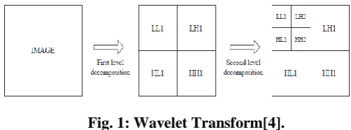 Fig. 1: Wavelet Transform[4]. 