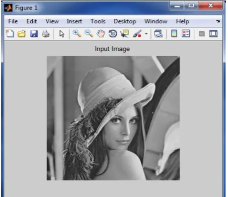 Fig. 2: Input image 