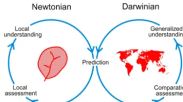 Figure 9. Newtonian–Darwinian synthesis: relative contributions ofNewtonian (learning from individual catchments through detailedstudies) and Darwinian (learning from a population of catchmentsthrough comparative studies) approaches (taken from Blöschl et al.,2013).
