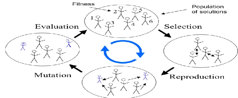 Fig 1:Evolution and Evolutionary Algorithms 