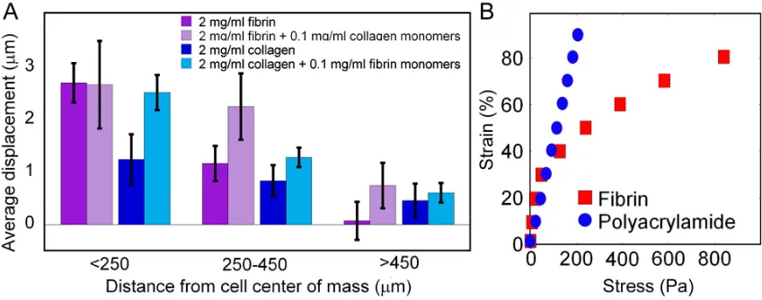 Figure 3.5 Integrin type mediates restructuring of fibrin gels 