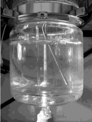 Figure 1. The 2.0-L crystallizer.
