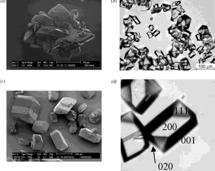 Figure 5. (a) Commercial and (b) reprocessed CL-20, as observed by means of SEM and optical microscopy, respectively