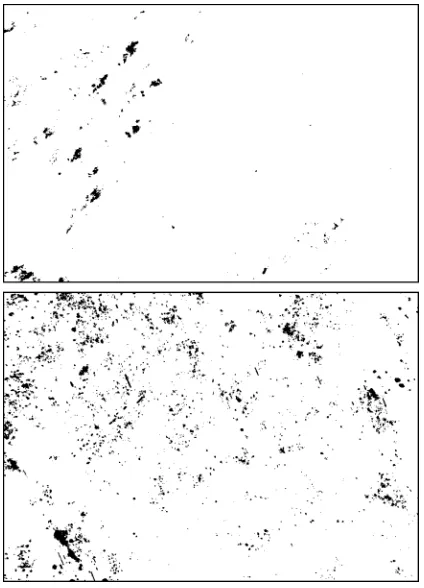 Figure 7.Two-dimensional projection of a stack of sliceswithin two different HMX crystals taken from a commercialgrade (lateral dimension: ∼140 × 93 µm2).