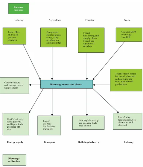 Figure 4. Biomass resources from several sources are converted into a range of products for use by transport, industry and building sectors [15]