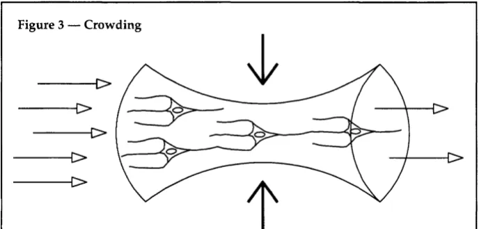 Figure 3 -Crowding 