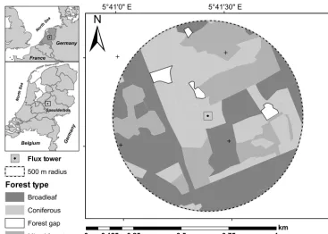 Figure 1. Forest type distribution within 500 m of the tower site at Speulderbos Forest, the Netherlands.