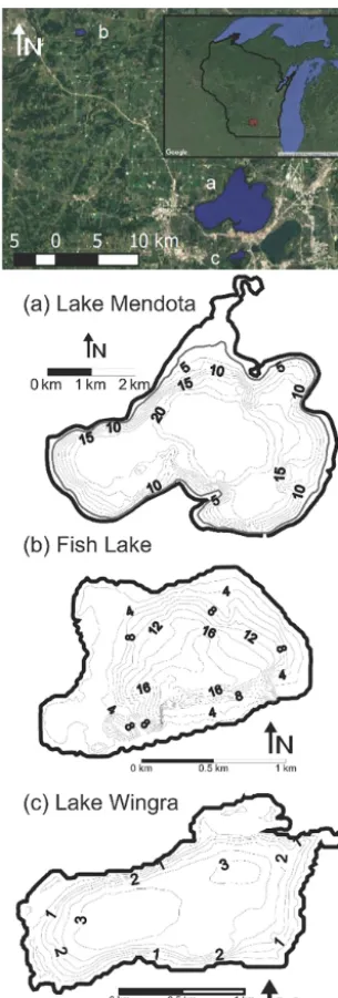 Figure 1. (Top) map of study lakes in Wisconsin, USA and bathy-metric maps of each lake: (a) Lake Mendota, (b) Fish Lake,and (c) Lake Wingra.