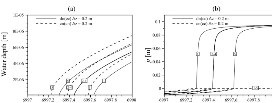 Figure 4. Simulated values at the common nodes for excess saturation on a hillslope (ﬁrst scenario) with a cell-centered scheme and�z = 0.0125 m