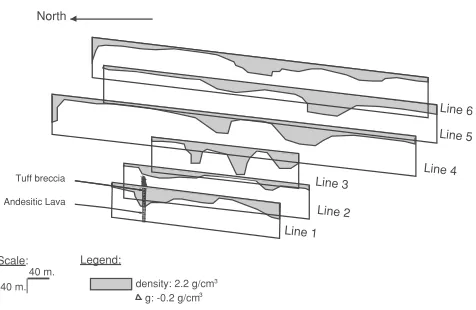 Fig. 11.3-D view of 2-D gravity forward modeling of lines 1–6 of thesouthern part of Obama.