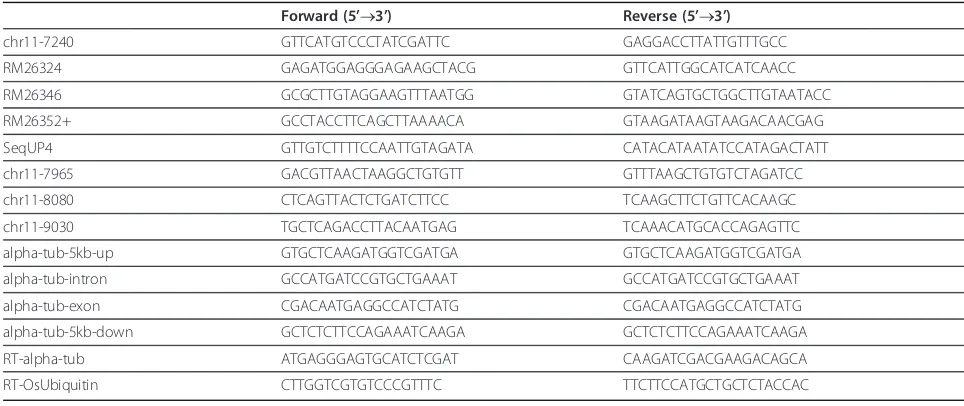 Table 1 Primer sequences used in this study