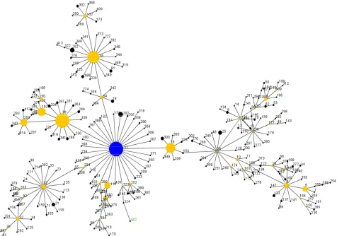 Figure 2. eBURST analysis of CC17 strains. 