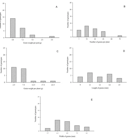 Figure 2. Frequency distribution of phenotypic classes for: graph (A) grain weight per pod (GWPD); graph (B) number of  