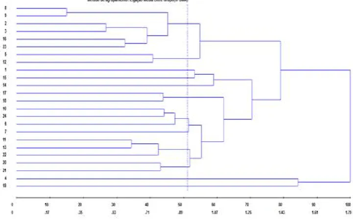 Figure 3. Representative dendrogram of genetic dissimilarity among 24 common bean genotypes, obtained by the method of average  links between groups UPGMA and using the Euclidean Distance as dissimilarity measure